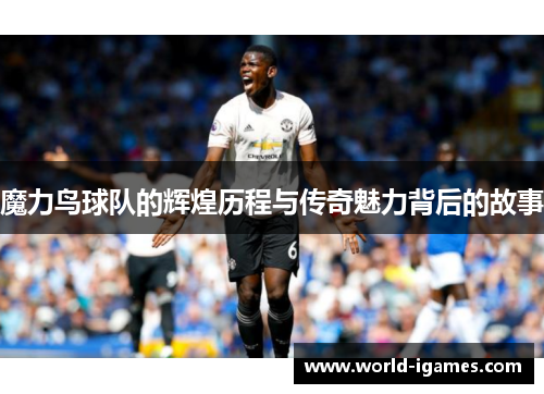 魔力鸟球队的辉煌历程与传奇魅力背后的故事