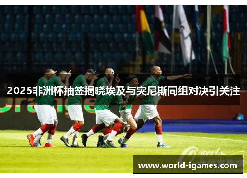 2025非洲杯抽签揭晓埃及与突尼斯同组对决引关注